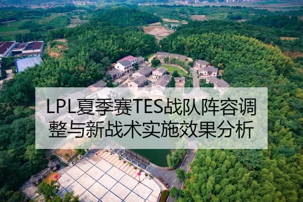 LPL夏季赛TES战队阵容调整与新战术实施效果分析