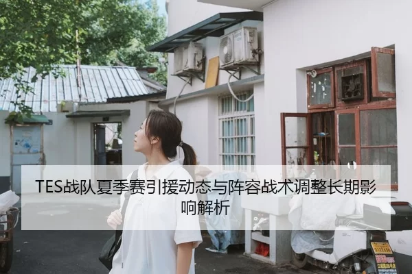 TES战队夏季赛引援动态与阵容战术调整长期影响解析