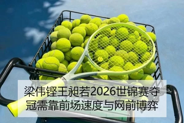 liang-wei-keng-wang-chang-ruo-shi-jin-sai-duo-guan-xu-kao-qian-chang-su-du-yu-wang-qian-bo-yi-2-641.jpg